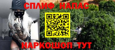 прущая мука Будённовск