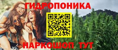 крисы Бузулук